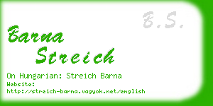 barna streich business card